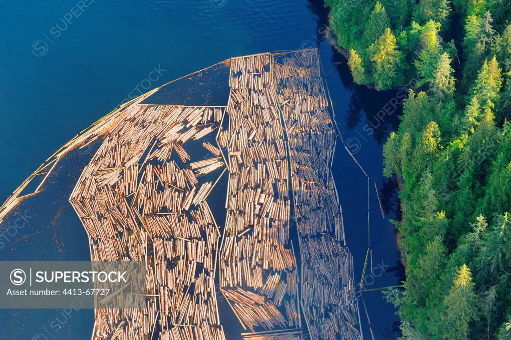 Logs floating in a park in contention British Columbia