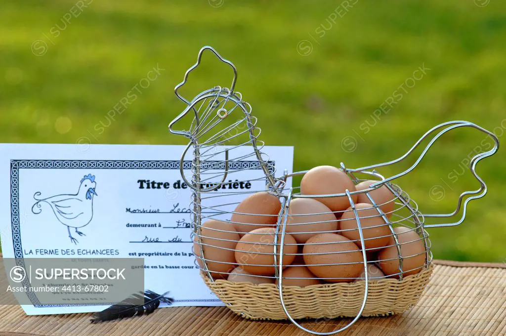 Eggs in a basket and title to the hen