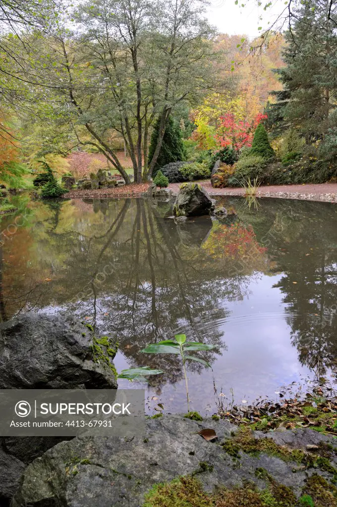 Japanese Garden in Autumn Park Museum Gantner