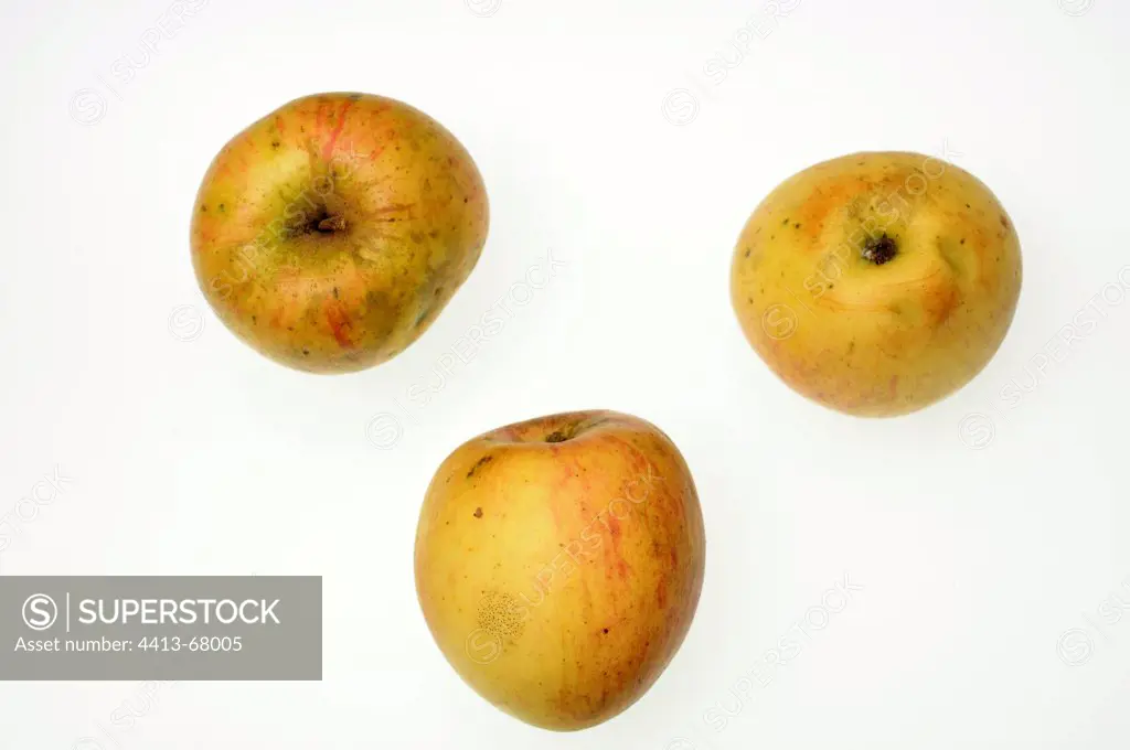 Apples 'Suisse de Montbeliard' Doubs