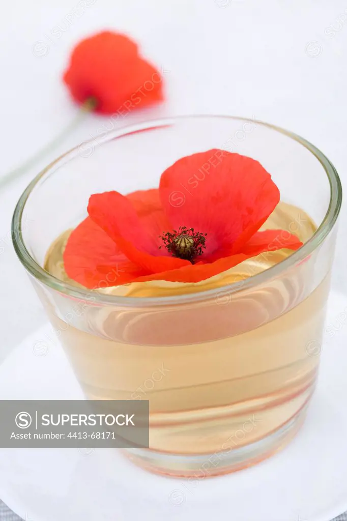 Infusion of Poppies in a transparent cup