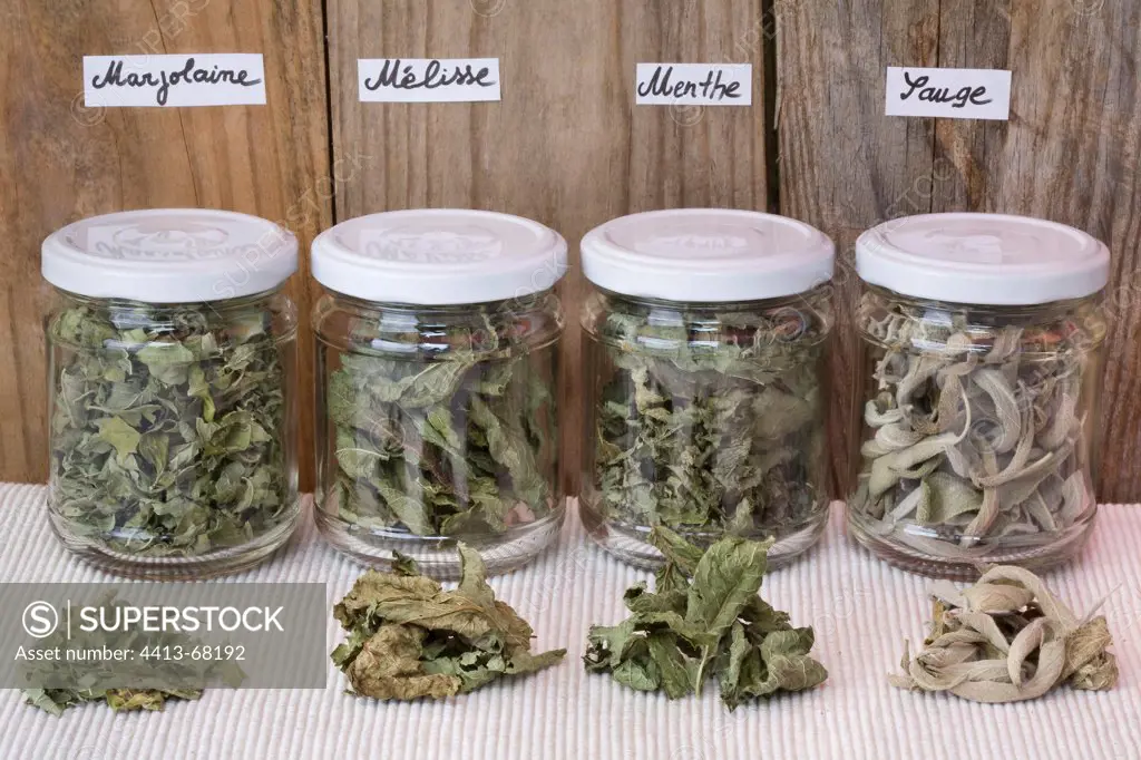 Dried plants in glass jars for infusions
