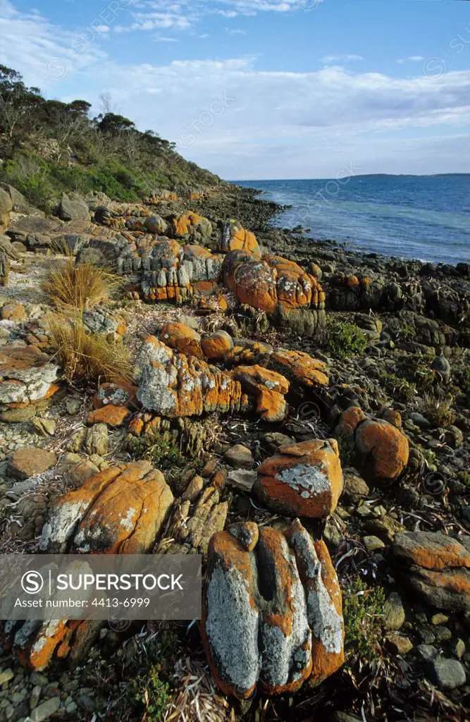 Shore of rocks Port Lincoln National Park Australia