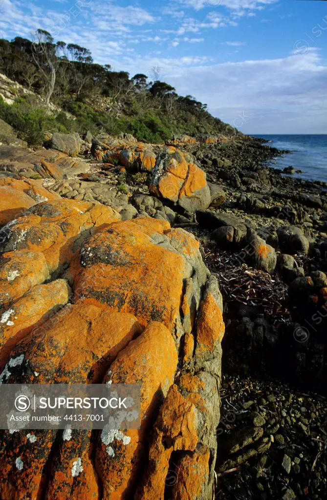 Shore of rocks Port Lincoln National Park Australia