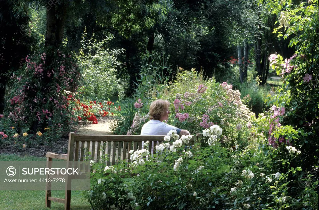 Woman on bench in garden and old roses France
