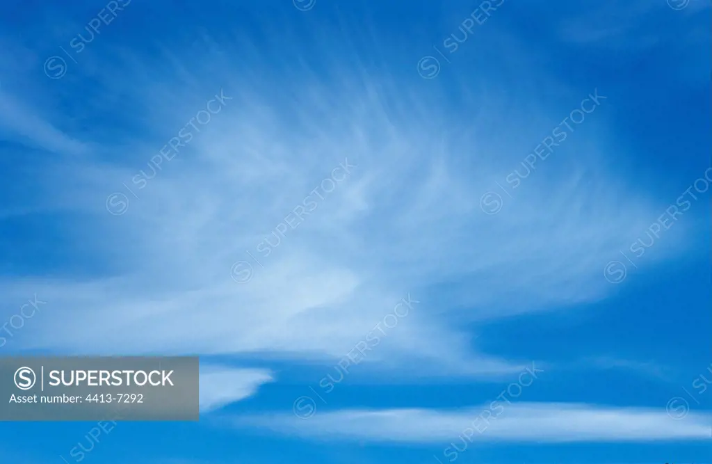 Cloud cirrus in the sky