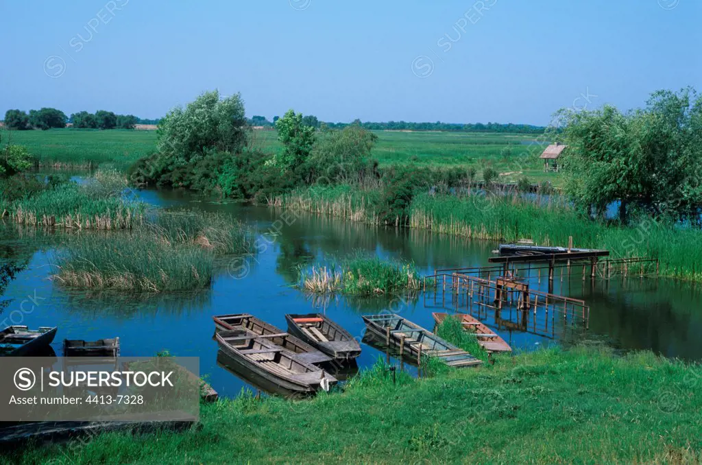 Rowing boats on the Tisza-To lake National park of Hortobagy Hungary