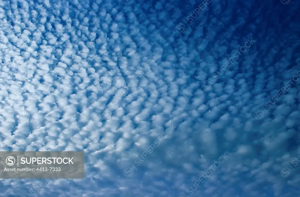 Clouds Altocumulus in a blue sky