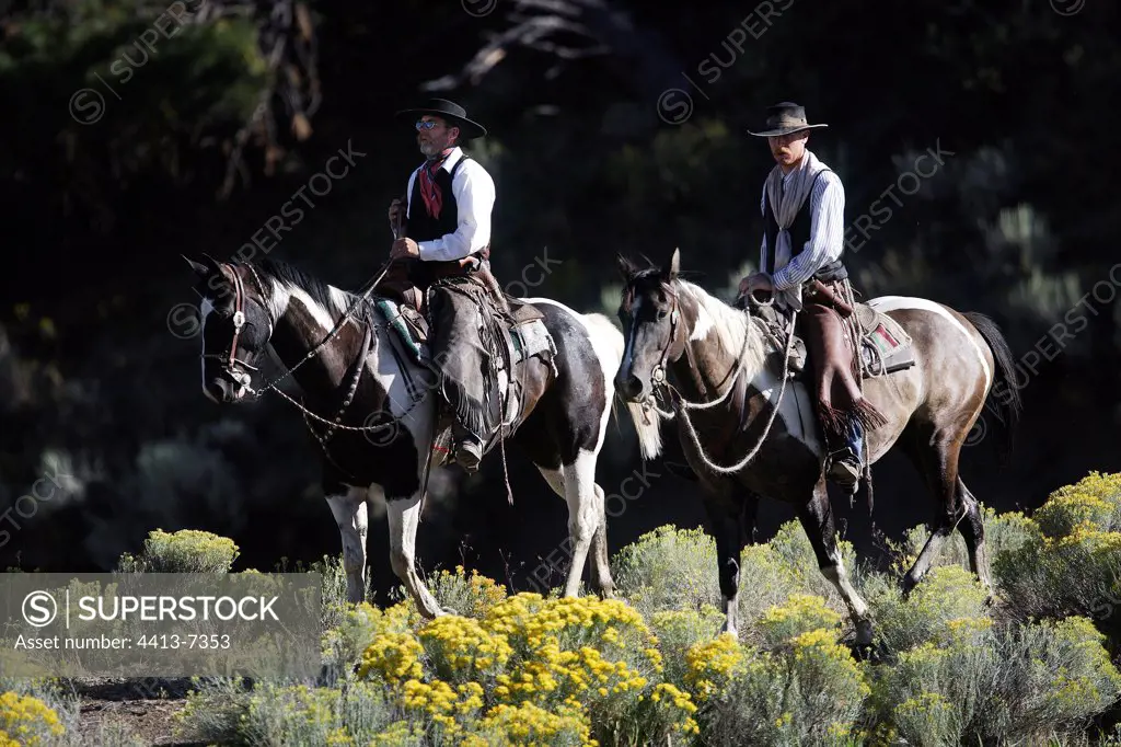 Cow-boys with horse going to the step coast at coast Oregon the USA
