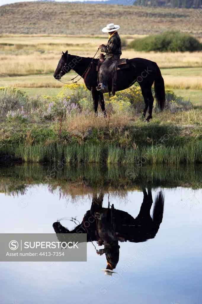 Cow-boy with horse and his reflection in water Oregon the USA