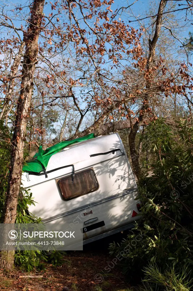 Caravan stuck in a trunk after the storm