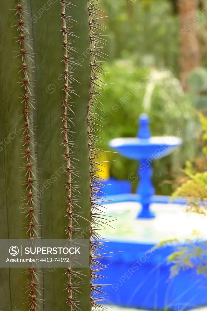 Cactus and fountain in the Jardin Majorelle in Marrakech