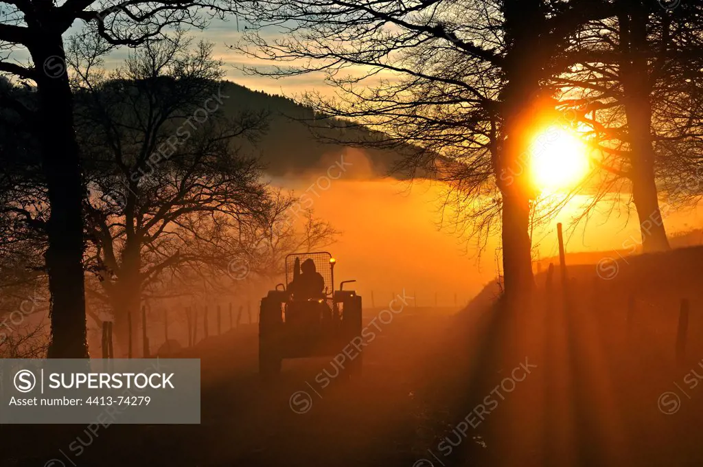 Tractor on a road at sunset in the fog
