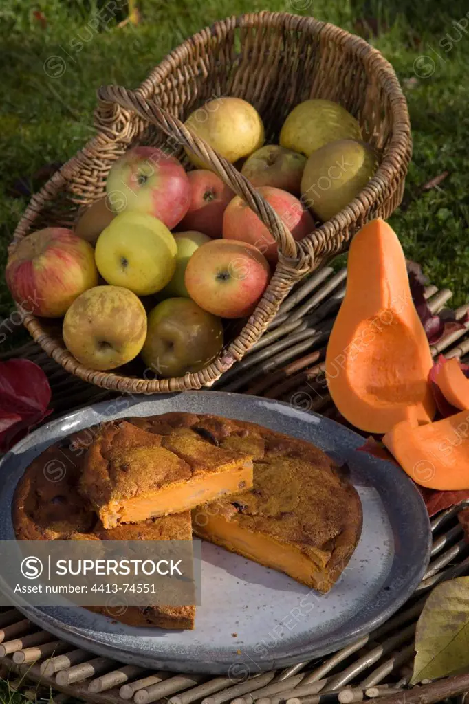 'Sucrine du Berry' crookneck squash cake with apples