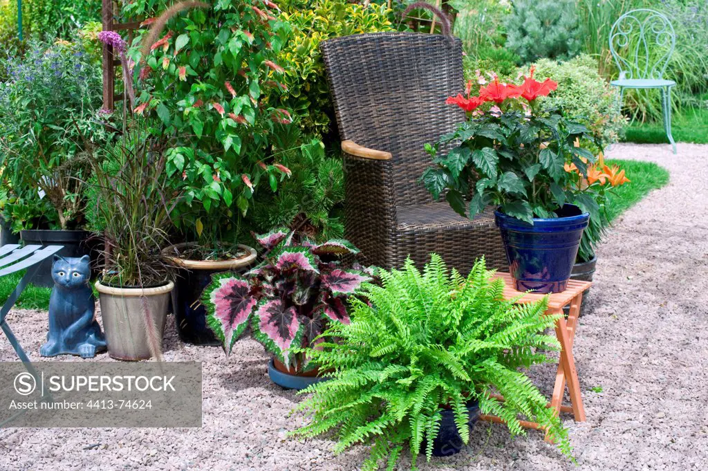 Flowered garden terrace in summer