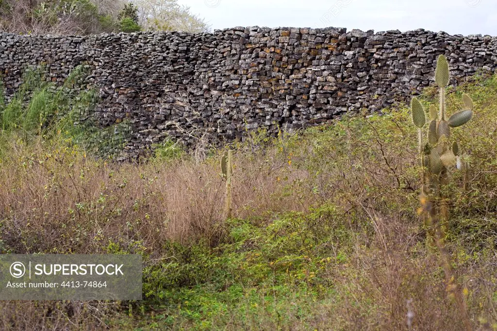 The wall constructed by the prisoners Isabela Island