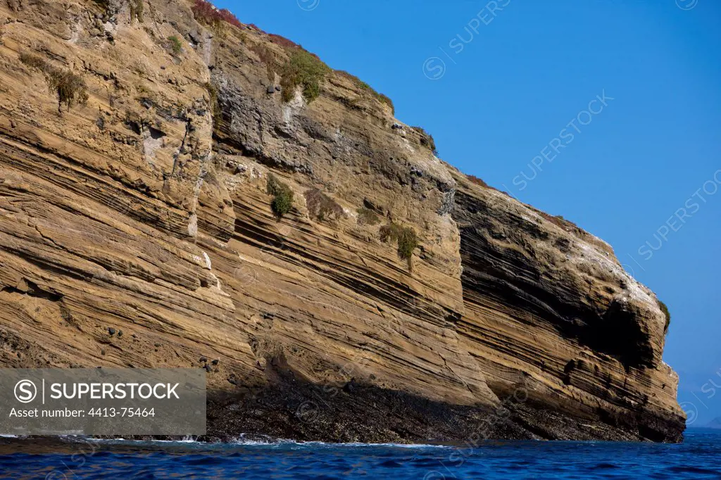 Maritime cliff where nesting seabirds Tortuga Island