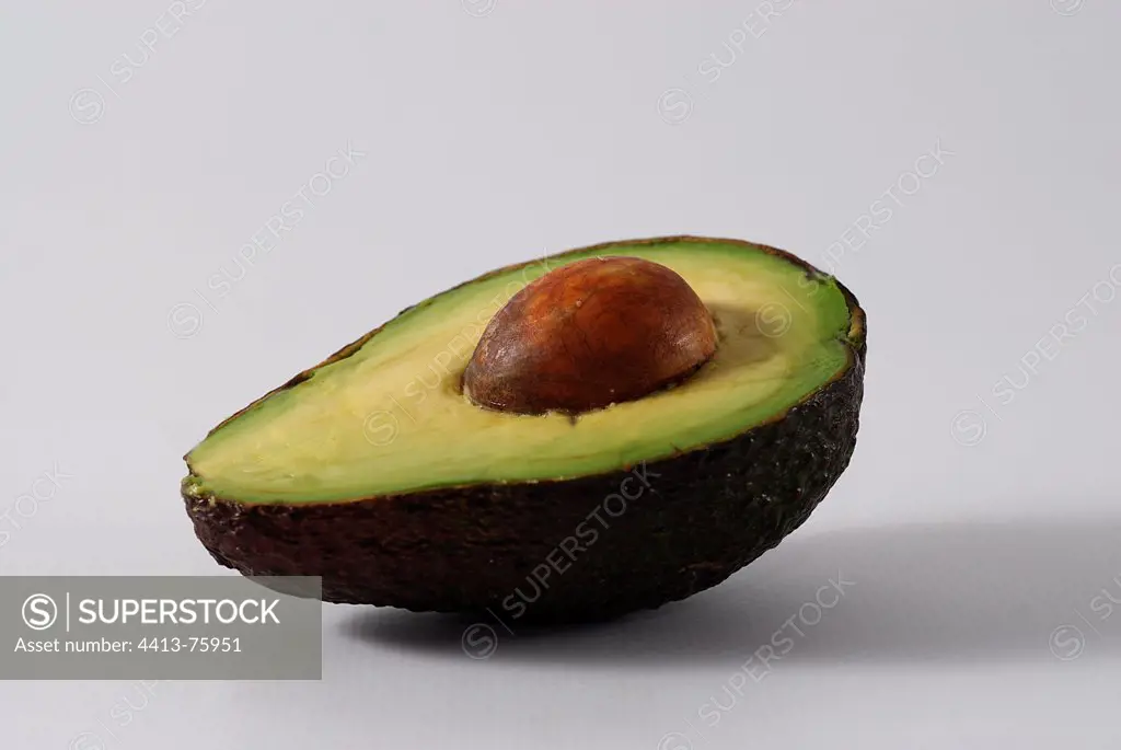 Avocado for the variety Haas