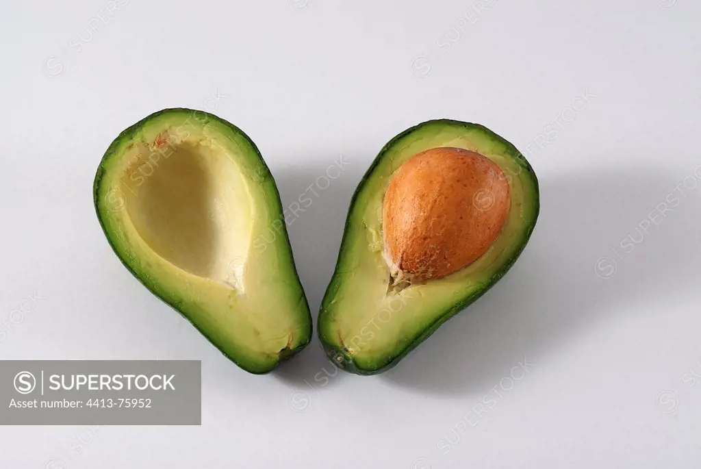 Avocado for the variety Haas