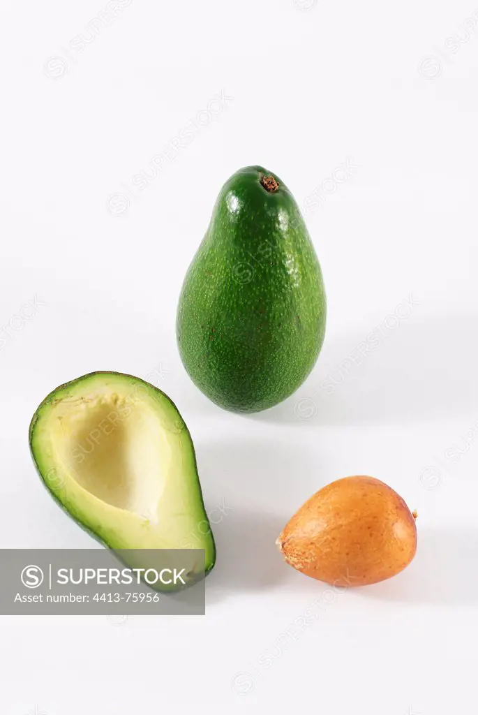 Avocado Half an integer and the kernel