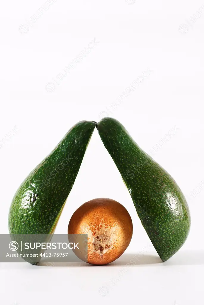 Avocado Half and the kernel