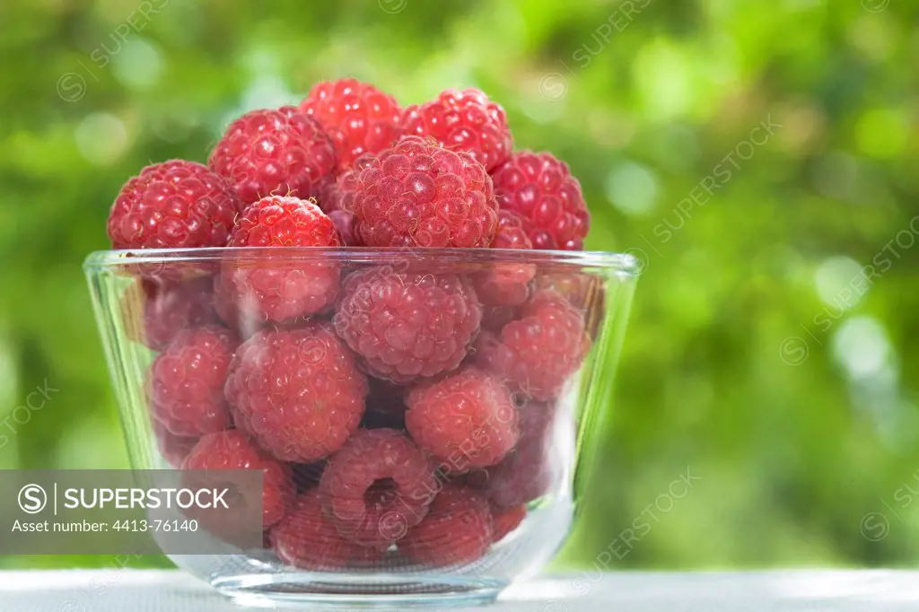 Raspberries in a glass jar in the garden France