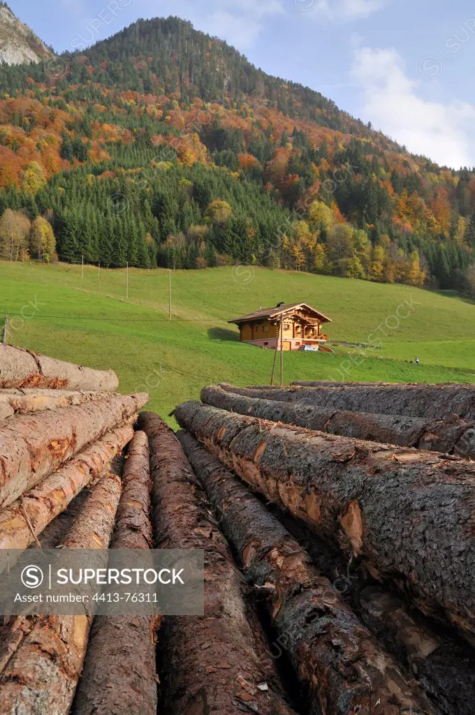 Logs near a sawmill Savoy Chablais Alps France