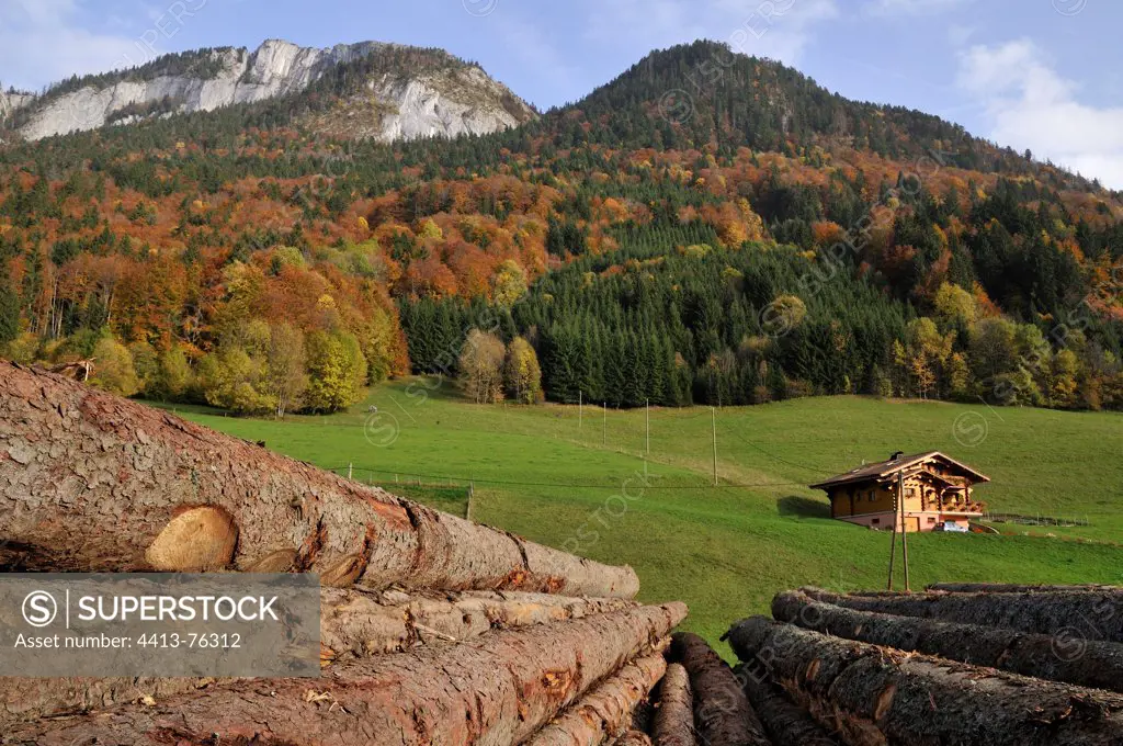 Logs near a sawmill Savoy Chablais Alps France