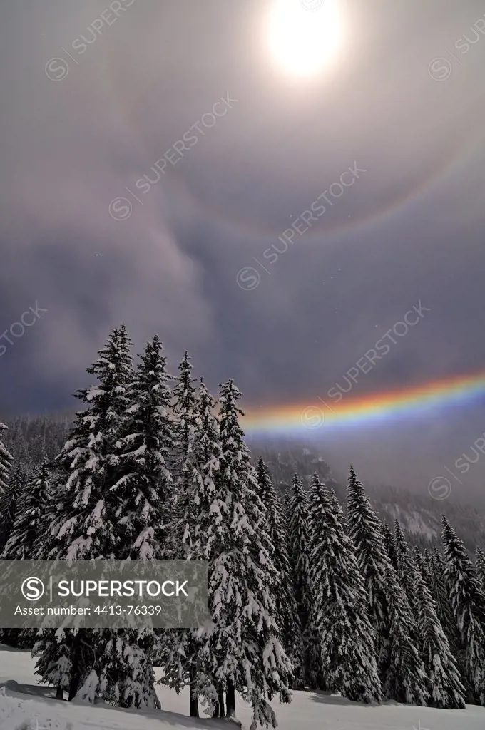 Lunar Halo and stratus in a snowy forest Alpes France