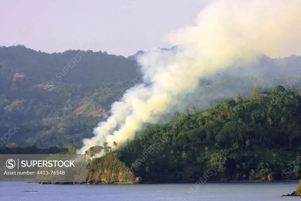Deforestation by burning for agriculture in Mayotte
