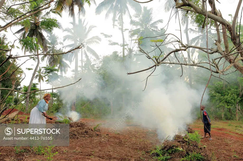 Deforestation and slash and burn agriculture in Mayotte