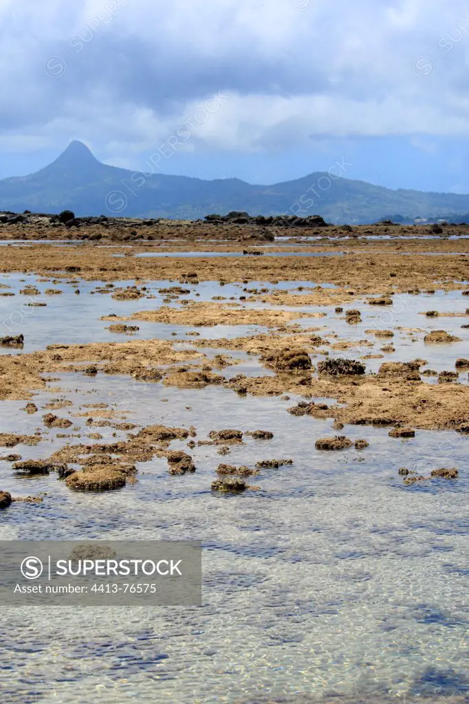 Fringing reef emerged during a high tide Mayotte