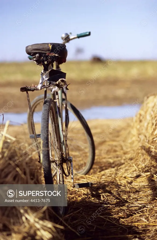 Bicycle in a rice field in Djeou Mali