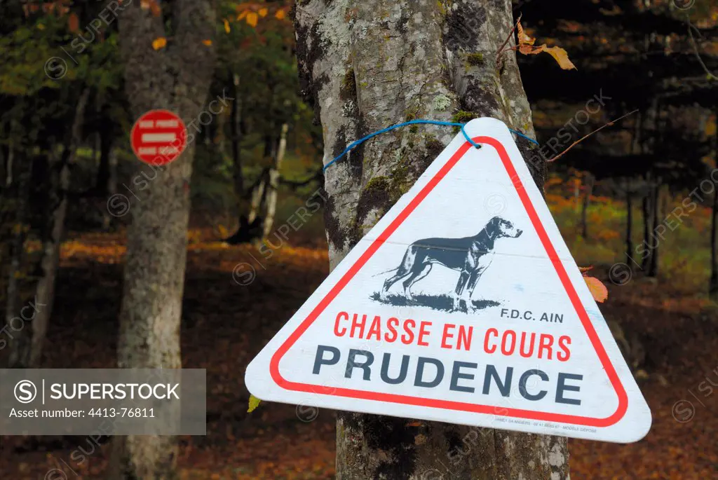 Sign during a hunt in the woods in France