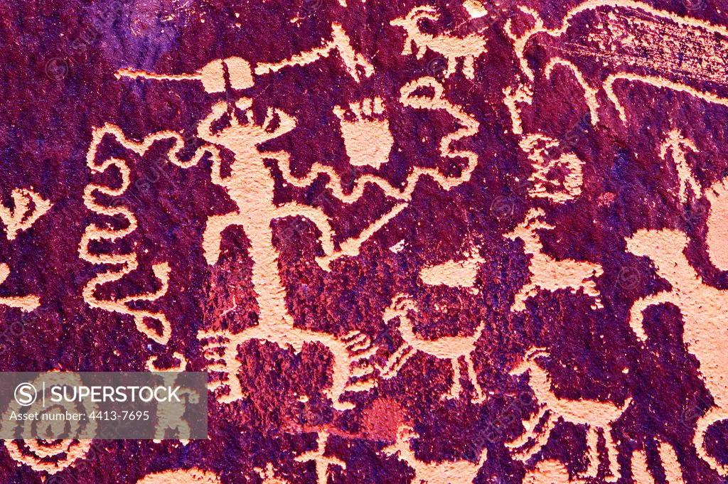 Anasazi petroglyph on a rock face Arches NP USA