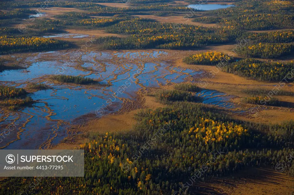 Aerial shot of peat bogs and boreal forest Lapland Finland