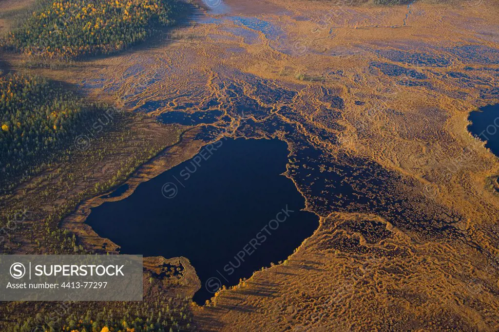 Aerial shot of peat bogs and boreal forest Lapland Finland