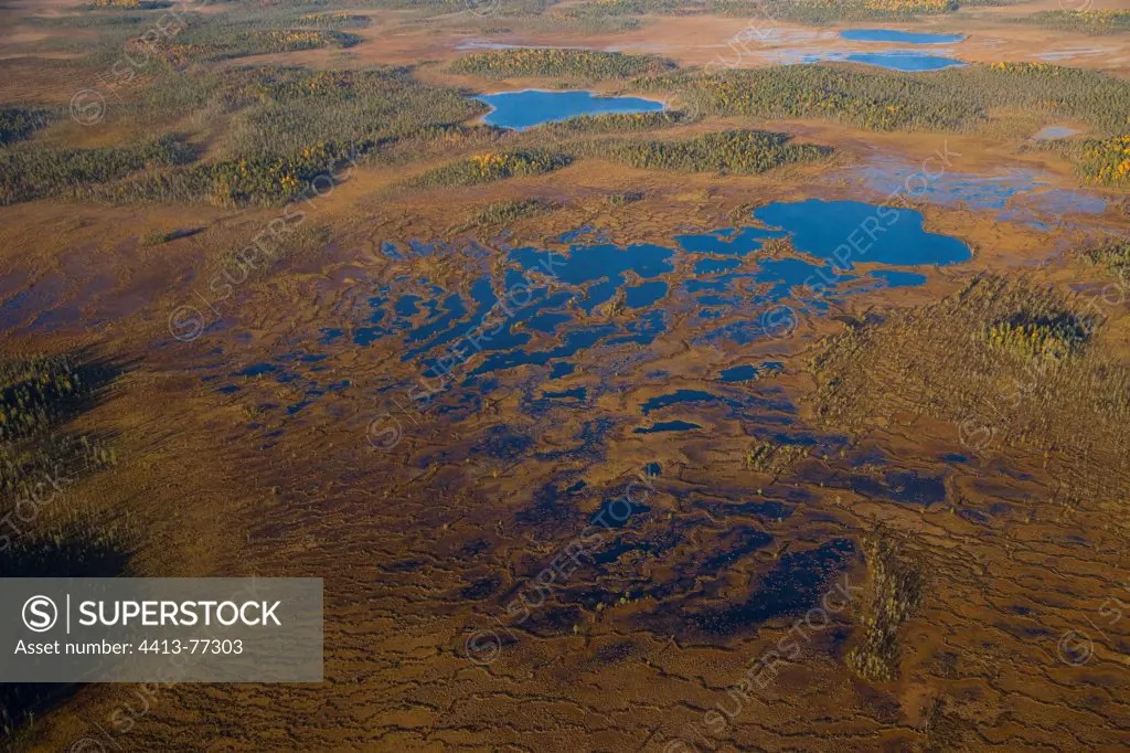 Aerial shot of peat bog in Lapland Finland