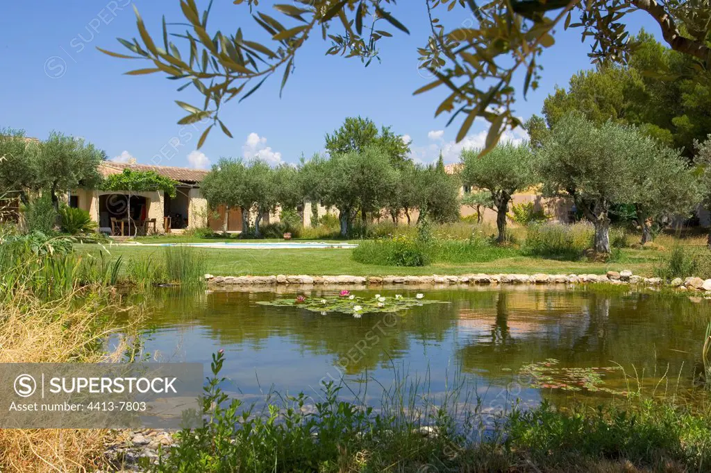 Pond of private garden in Provence Vaucluse France