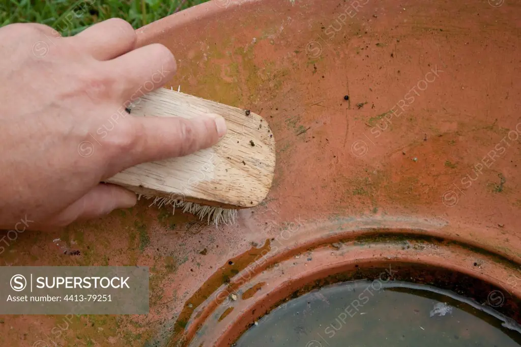 Cleaning of an earthenware garden bowl