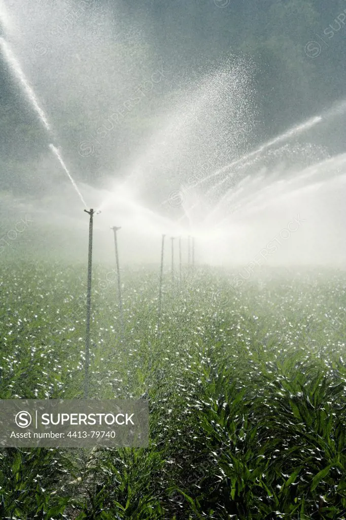 Irrigation of Corn in the valley of the Dordogne at Vézac
