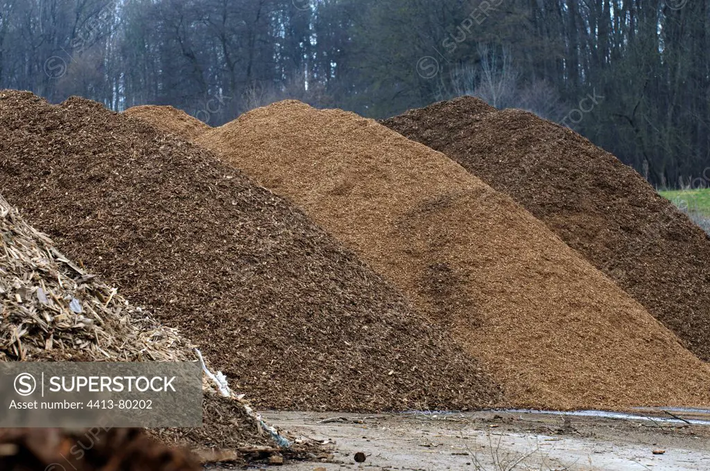 Piles of shredded wood for recycling Hirsingue France
