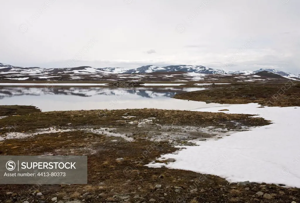 Melting snow on the plateau in spring Stekkenjokk