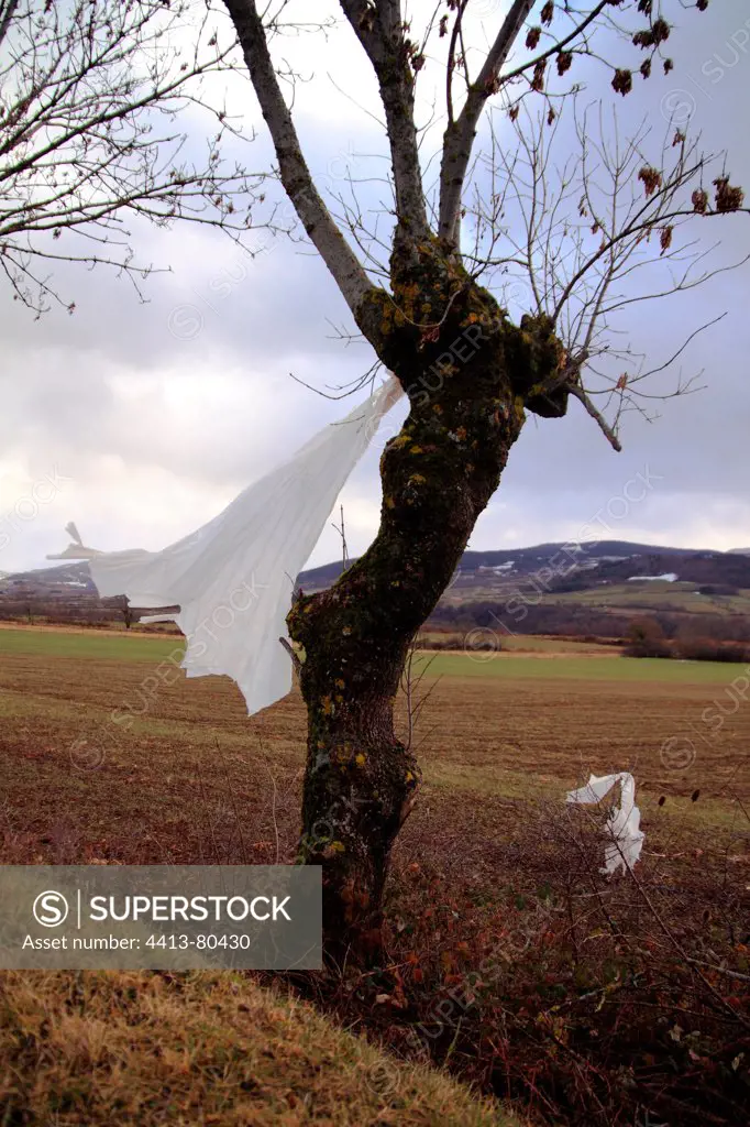 Agricultural plastic abandoned and hung from a tree France