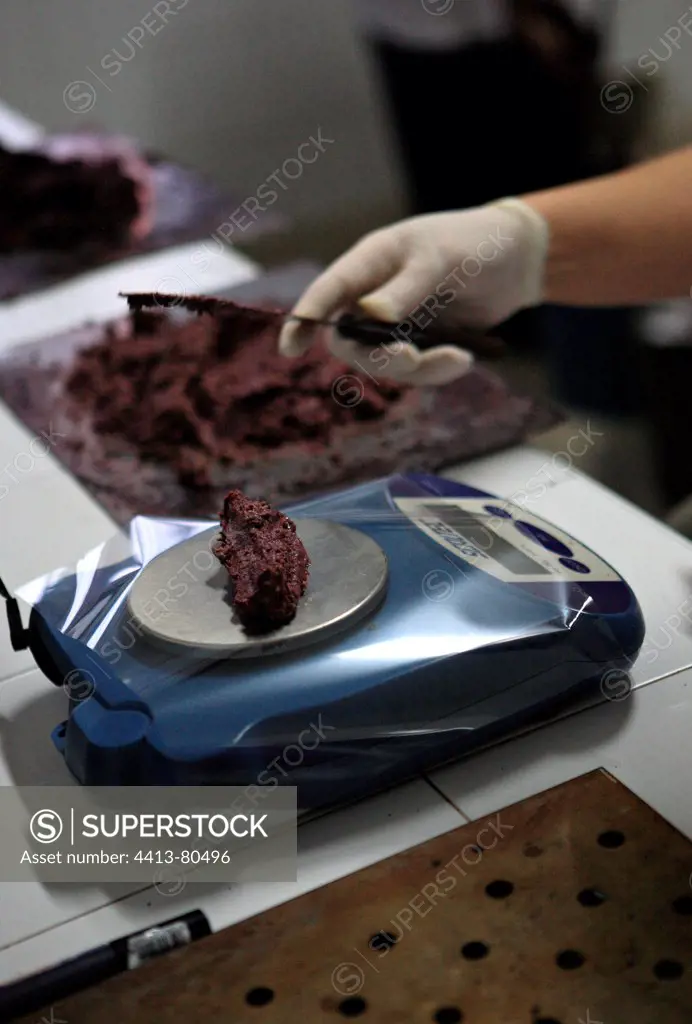 Weighing the olive paste to control fat