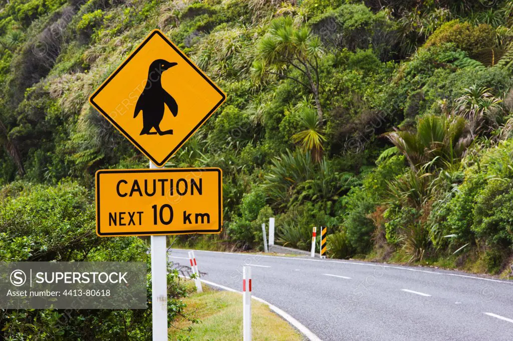 Penguin crossing warning sign South Island New Zealand