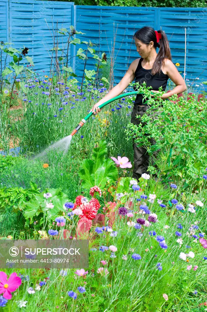 Woman watering a flowered kitchen garden