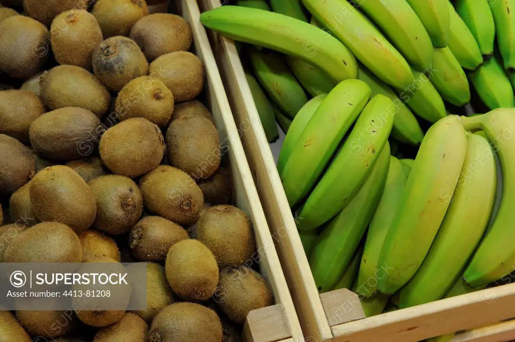 Kiwis and bananas in trays
