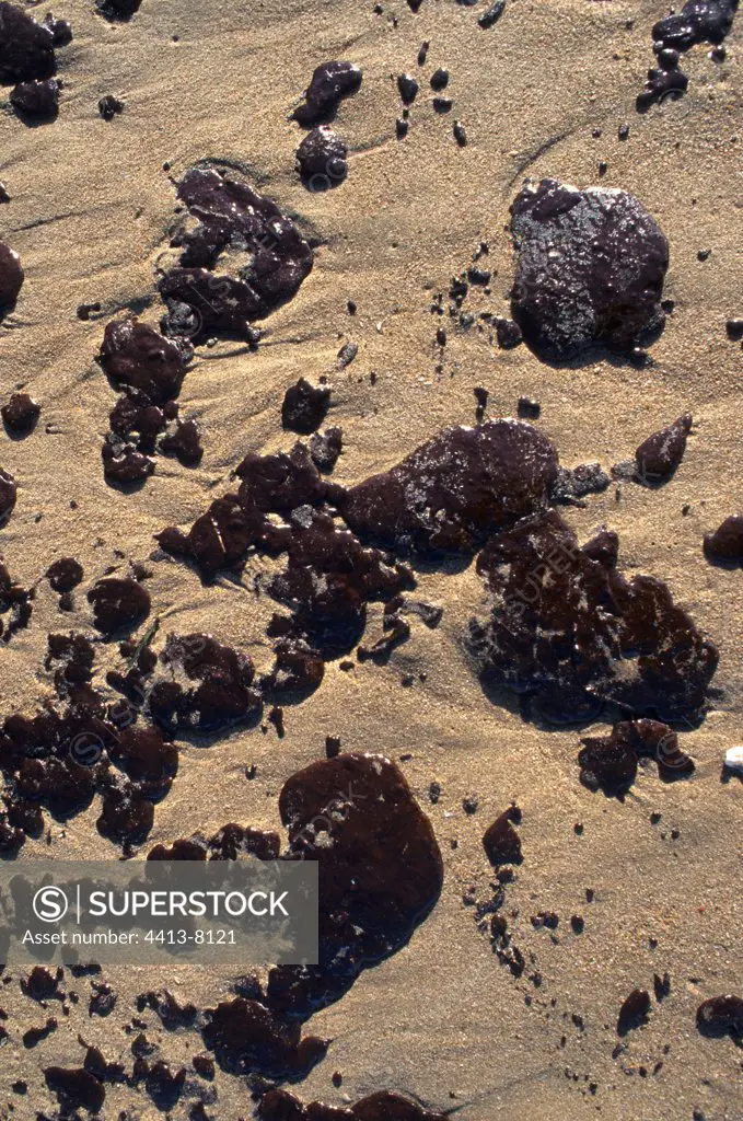 Oil pellets on sand Island of Noirmoutier France