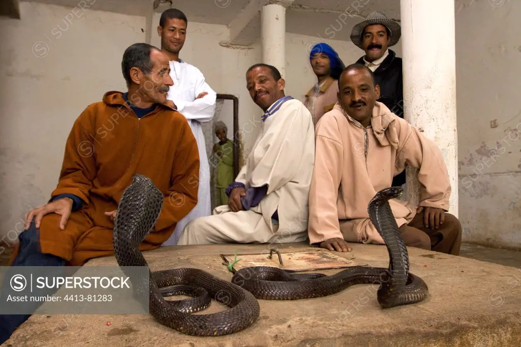 Snake charmer and Morocco tourist Marrakech